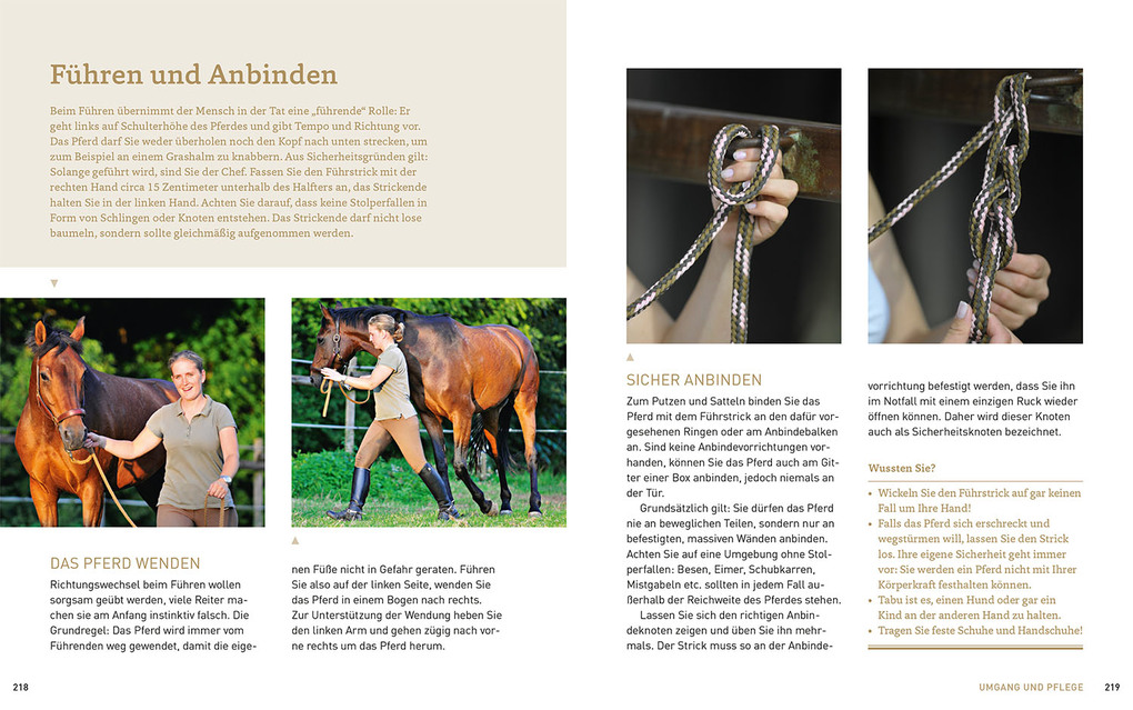 Weitere Ansicht: Pferde verstehen, erziehen und reiten | Silke Behling, Sibylle Luise Binder, Anja Schriever