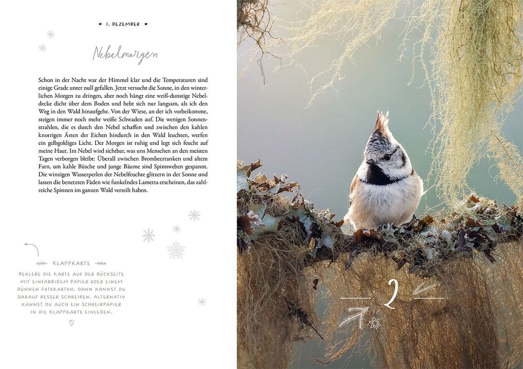 Weitere Ansicht: Winter Moments in Nature - der Adventskalender | Gamander López, Una López