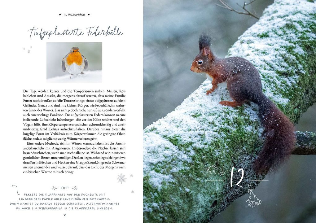 Weitere Ansicht: Winter Moments in Nature - der Adventskalender | Gamander López, Una López