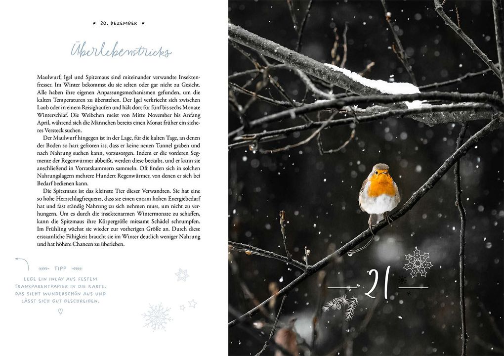 Weitere Ansicht: Winter Moments in Nature - der Adventskalender | Gamander López, Una López