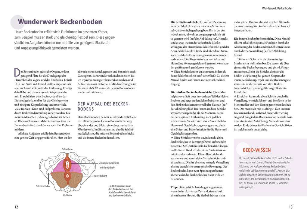 Weitere Ansicht: Mein Beckenboden, die Wechseljahre und ich | Nadja Dörner