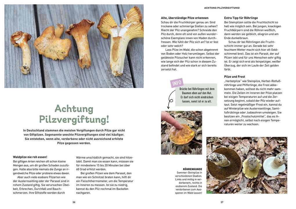 Weitere Ansicht: Das Pilzbuch für Kids | Nadja Frotscher-Kanka