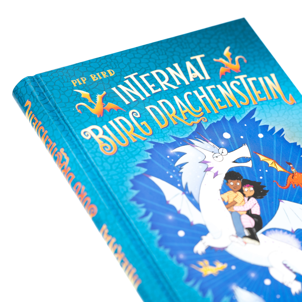 Weitere Ansicht: Internat Burg Drachenstein. Drachenreiten Lektion 1: Niemals runterfallen! | Pip Bird