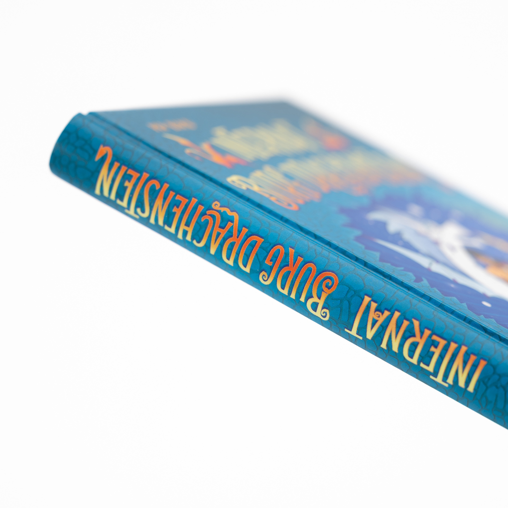 Weitere Ansicht: Internat Burg Drachenstein. Drachenreiten Lektion 1: Niemals runterfallen! | Pip Bird