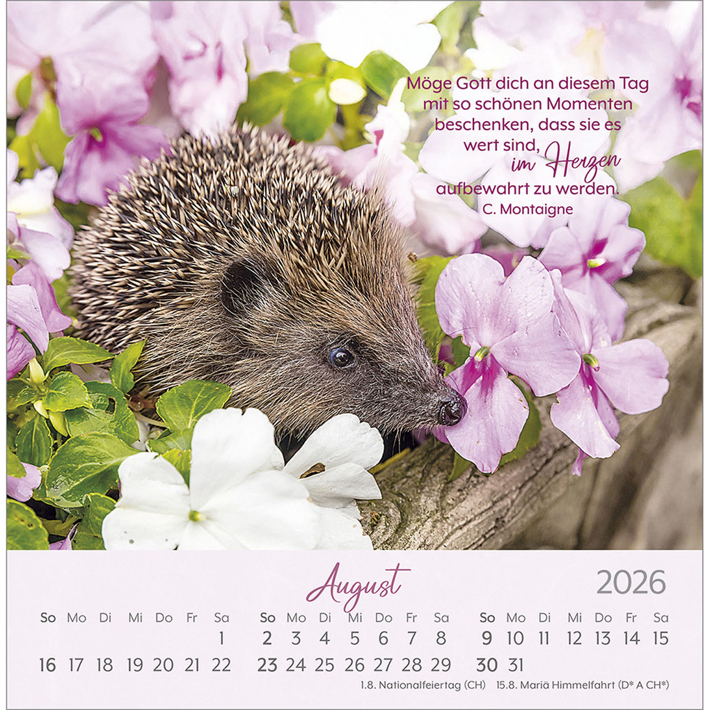 Weitere Ansicht: Herzenswünsche 2026