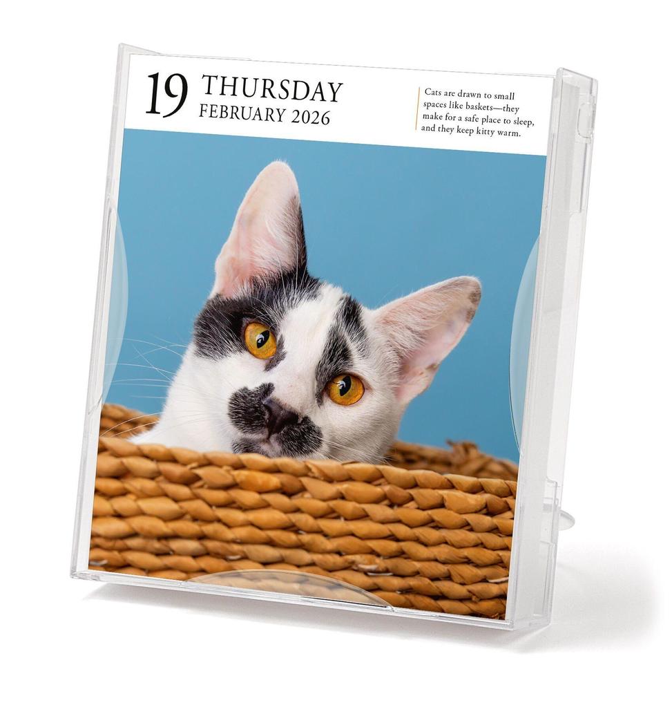 Weitere Ansicht: Cat Page-A-Day® Gallery Calendar 2026