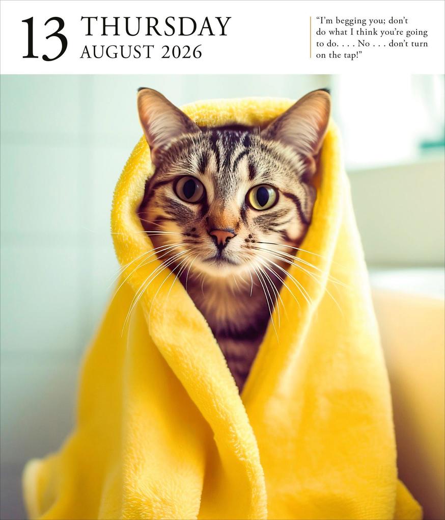 Weitere Ansicht: Cat Page-A-Day® Gallery Calendar 2026