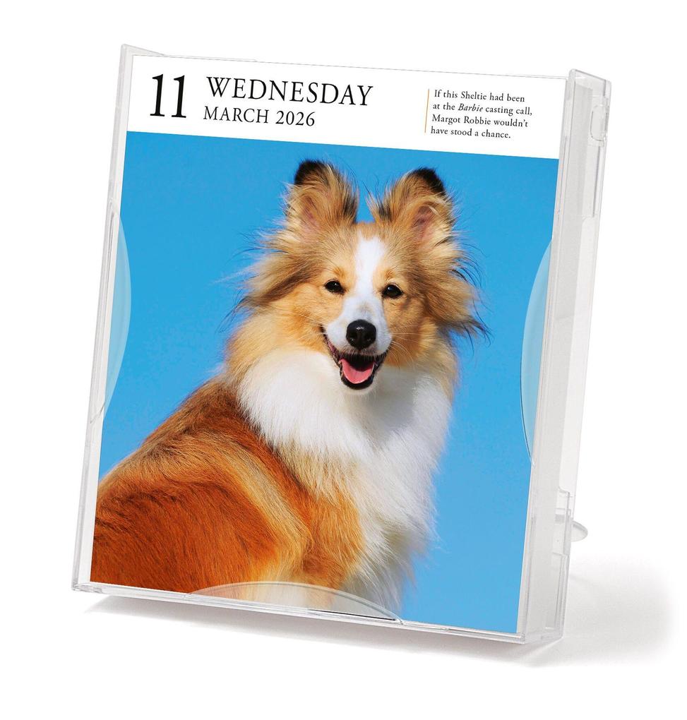 Weitere Ansicht: Dog Page-A-Day(r) Gallery Calendar 2026 | Workman Calendars