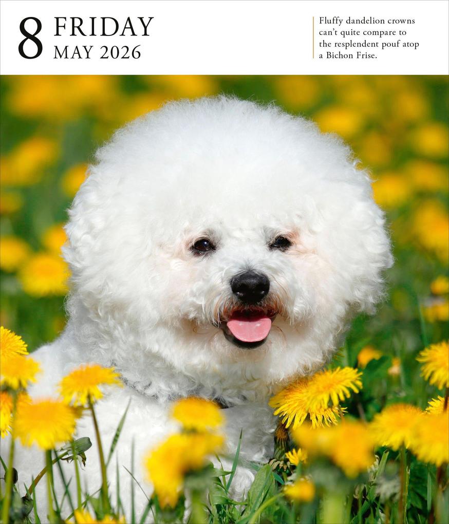 Weitere Ansicht: Dog Page-A-Day(r) Gallery Calendar 2026 | Workman Calendars
