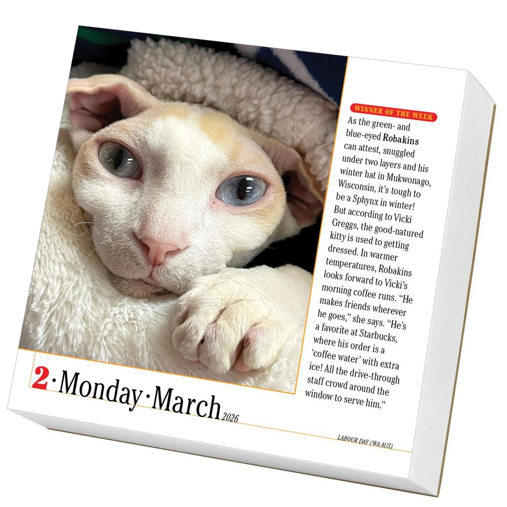 Weitere Ansicht: 365 Cats Page-A-Day® Calendar 2026