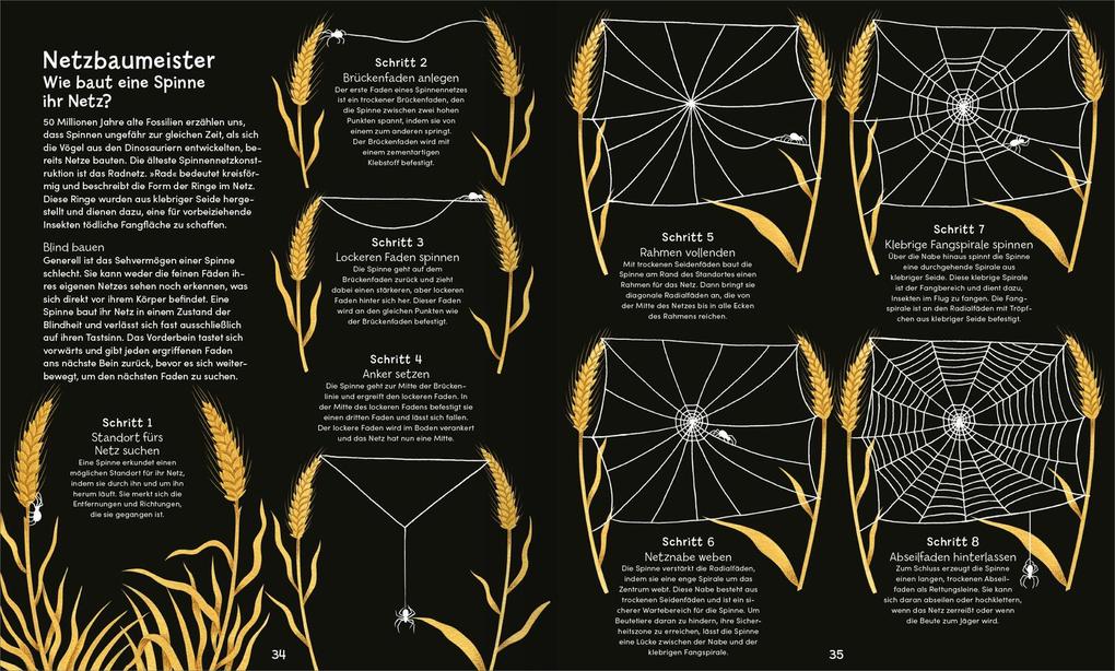 Weitere Ansicht: Wunderwelt der Spinnennetze | Jan Beccaloni