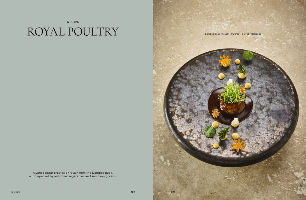 Weitere Ansicht: Ikarus