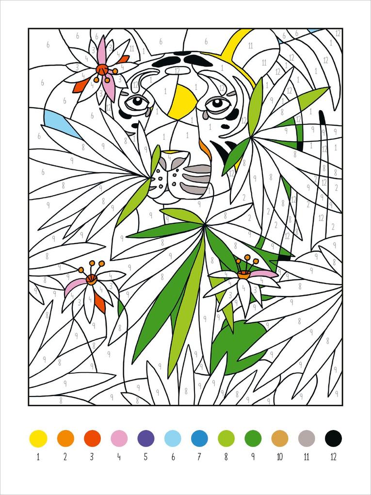 Weitere Ansicht: Mein dickes Malen-nach-Zahlen-Buch - Wilde Tiere