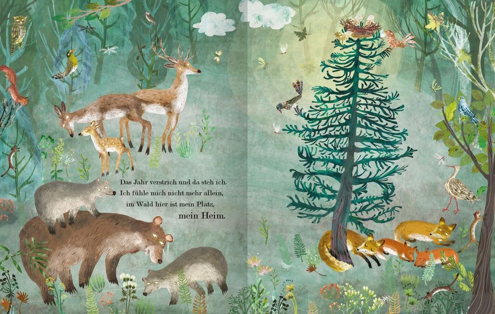 Weitere Ansicht: Der Weihnachtsbaum, den niemand wollte | Yuval Zommer