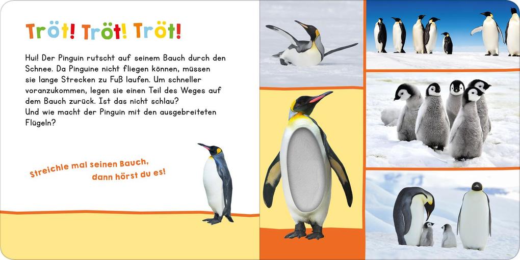 Weitere Ansicht: Hör mal rein, wer kann das sein? - Im Winter