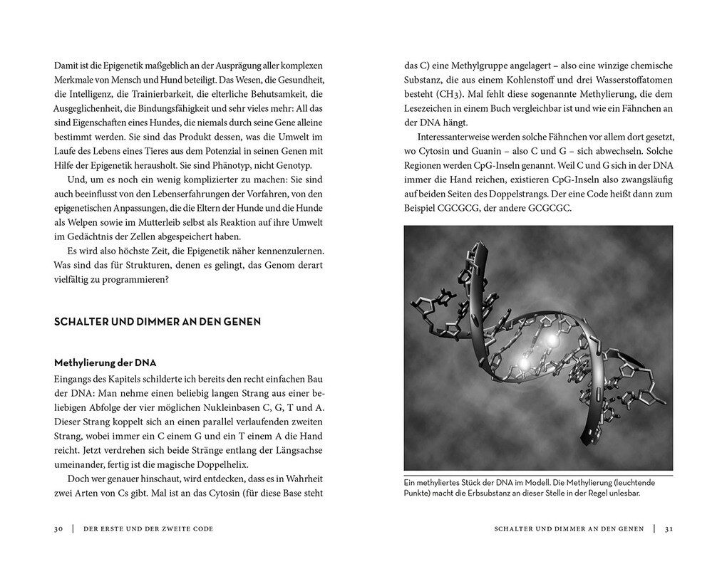 Weitere Ansicht: Die Epigenetik des Hundes | Peter Spork