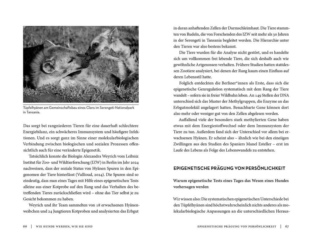 Weitere Ansicht: Die Epigenetik des Hundes | Peter Spork
