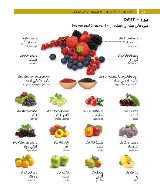 Weitere Ansicht: PONS Bildwörterbuch Persisch