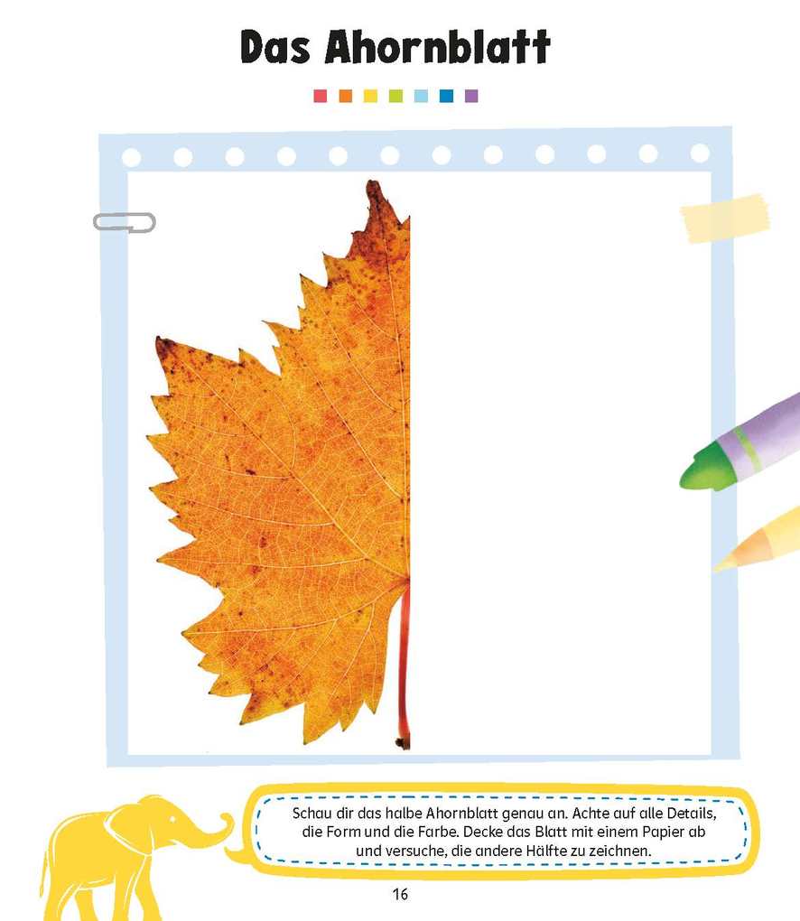 Weitere Ansicht: QUID+ 50 Konzentrations- und Denkspiele