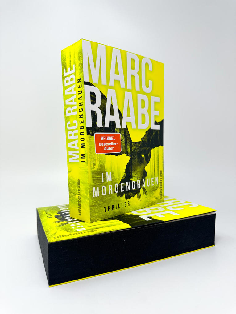 Weitere Ansicht: Im Morgengrauen | Marc Raabe