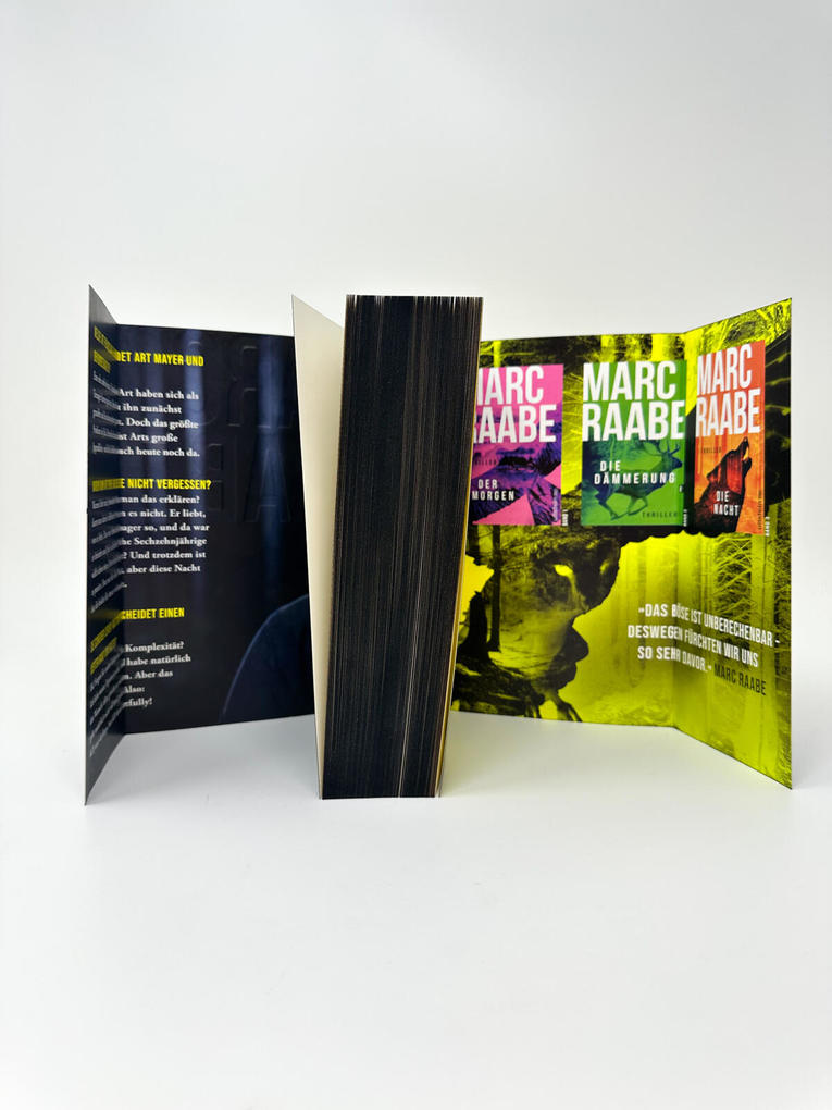 Weitere Ansicht: Im Morgengrauen | Marc Raabe