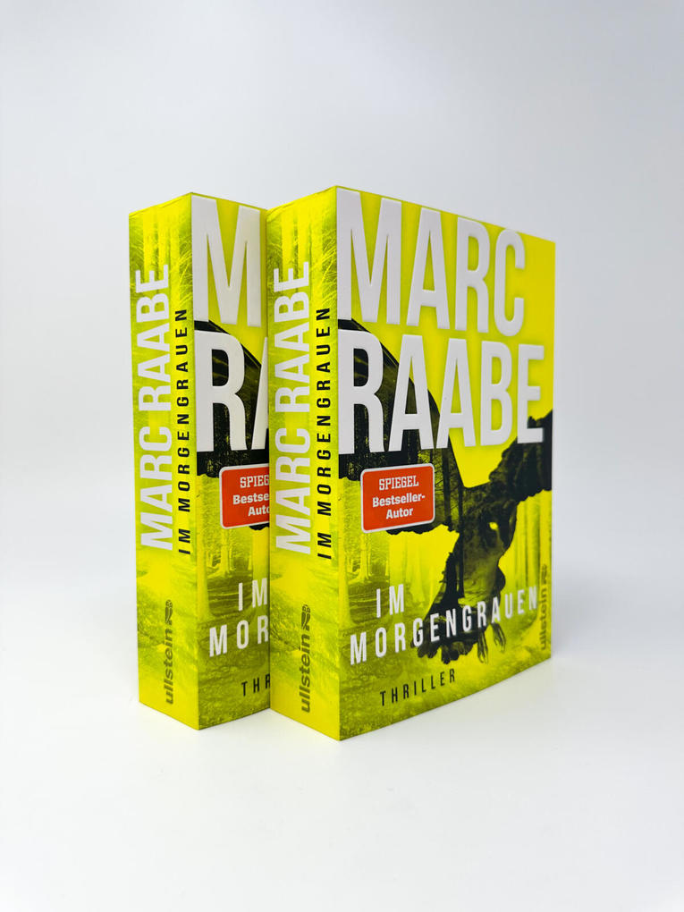 Weitere Ansicht: Im Morgengrauen | Marc Raabe