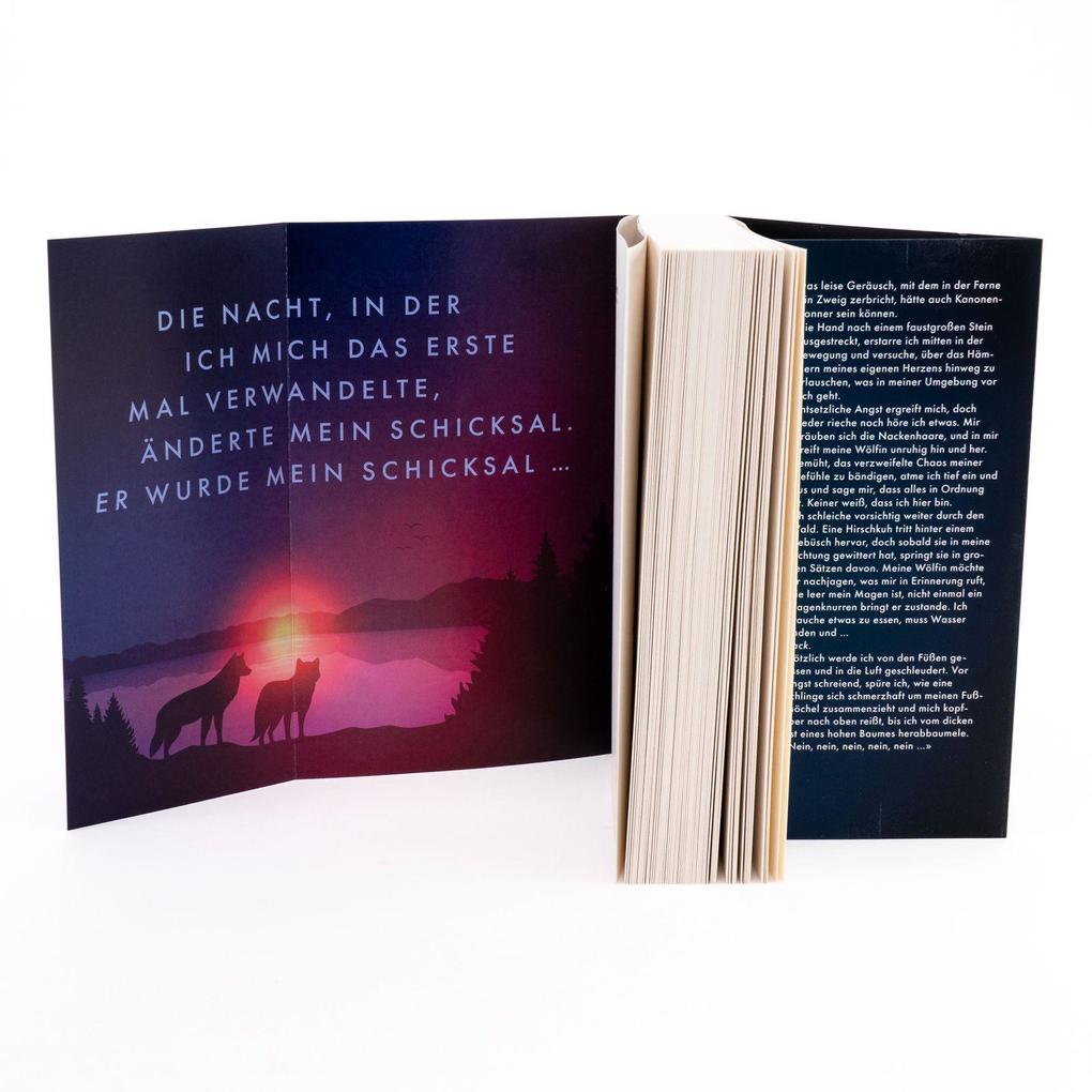 Weitere Ansicht: Rabid | Ivy Asher, Raven Kennedy