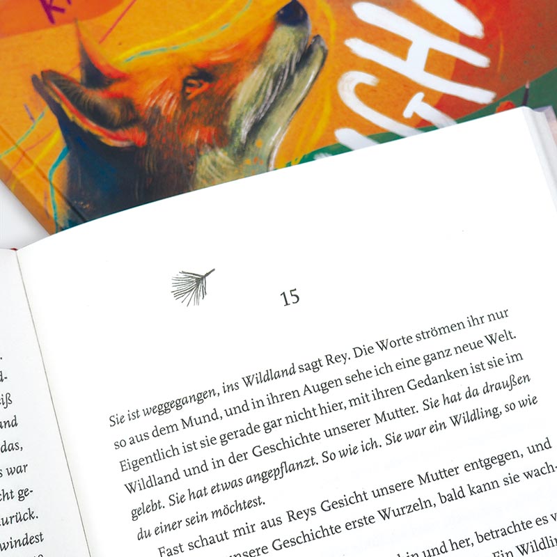 Weitere Ansicht: Foxlight | Katya Balen