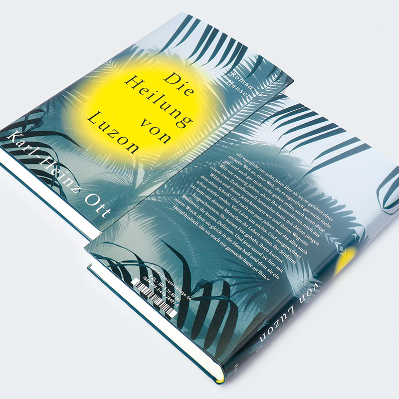 Weitere Ansicht: Die Heilung von Luzon | Karl-Heinz Ott