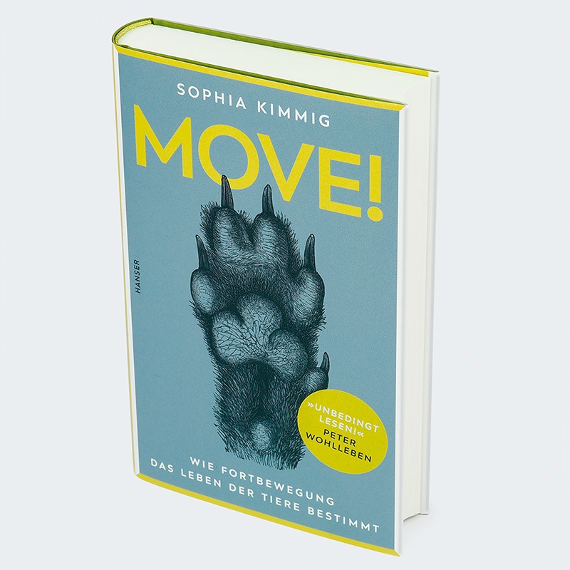 Weitere Ansicht: Move! | Sophia Kimmig