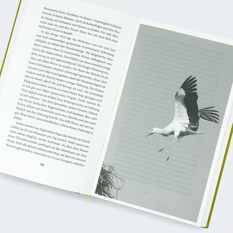 Weitere Ansicht: Move! | Sophia Kimmig