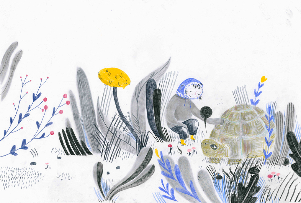 Weitere Ansicht: Komm, ich trag dich ein Stück, sagte die Schildkröte | Lena Raubaum, Leonie Schlager