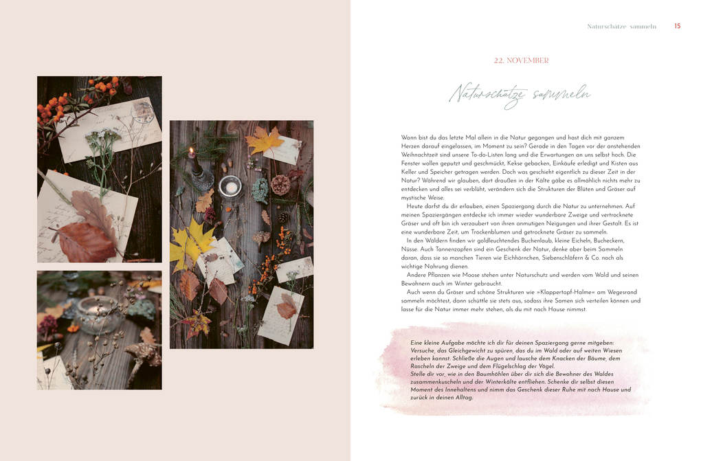 Weitere Ansicht: Sonderausgabe: Weihnachtsstern, Tannenbaum und Kerzenduft | Anna C. Rupp