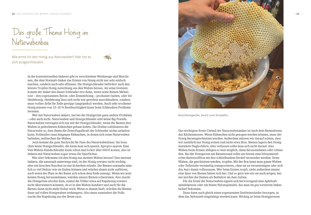 Weitere Ansicht: Imkern mit Naturwabenbau | Undine Westphal