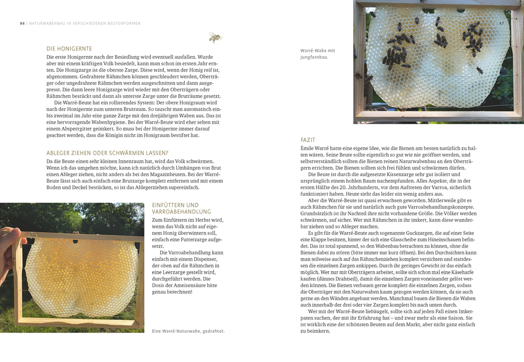 Weitere Ansicht: Imkern mit Naturwabenbau | Undine Westphal