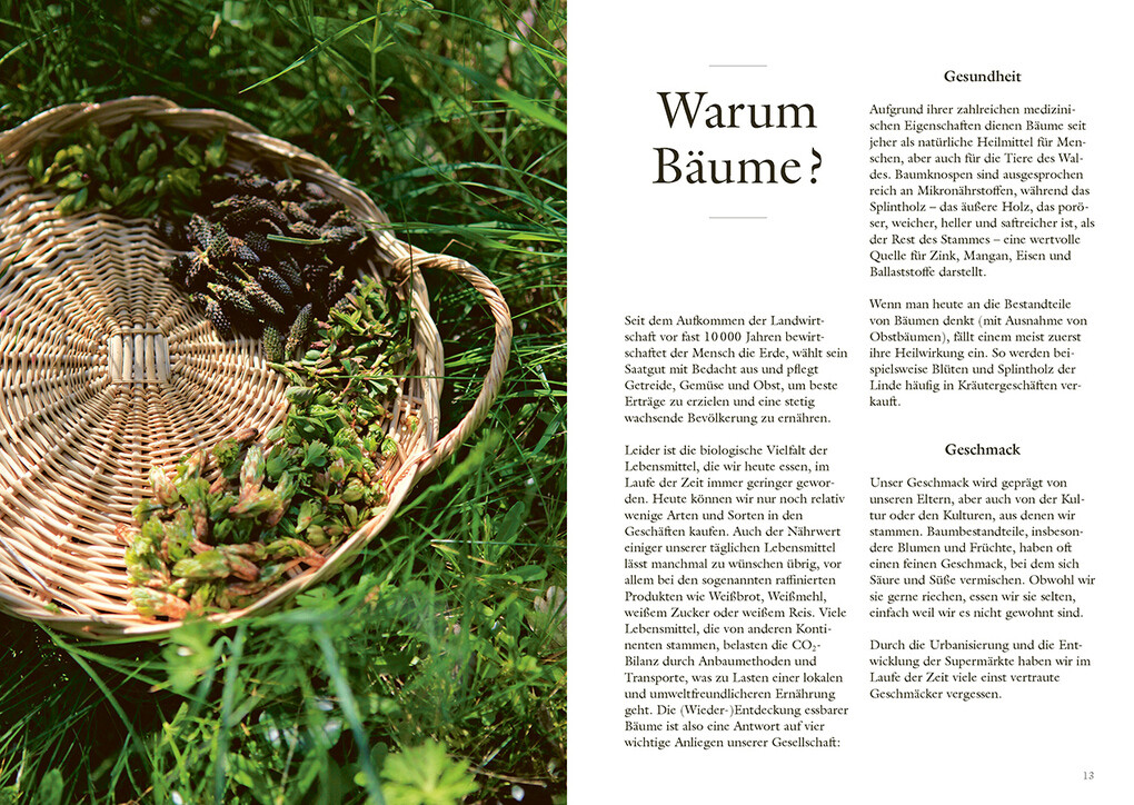 Weitere Ansicht: Wundervolle Waldküche | Aurélie Valtat