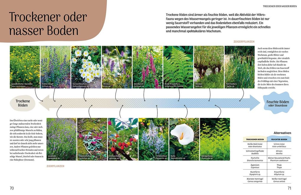 Weitere Ansicht: Der resiliente Garten | Didier Willery