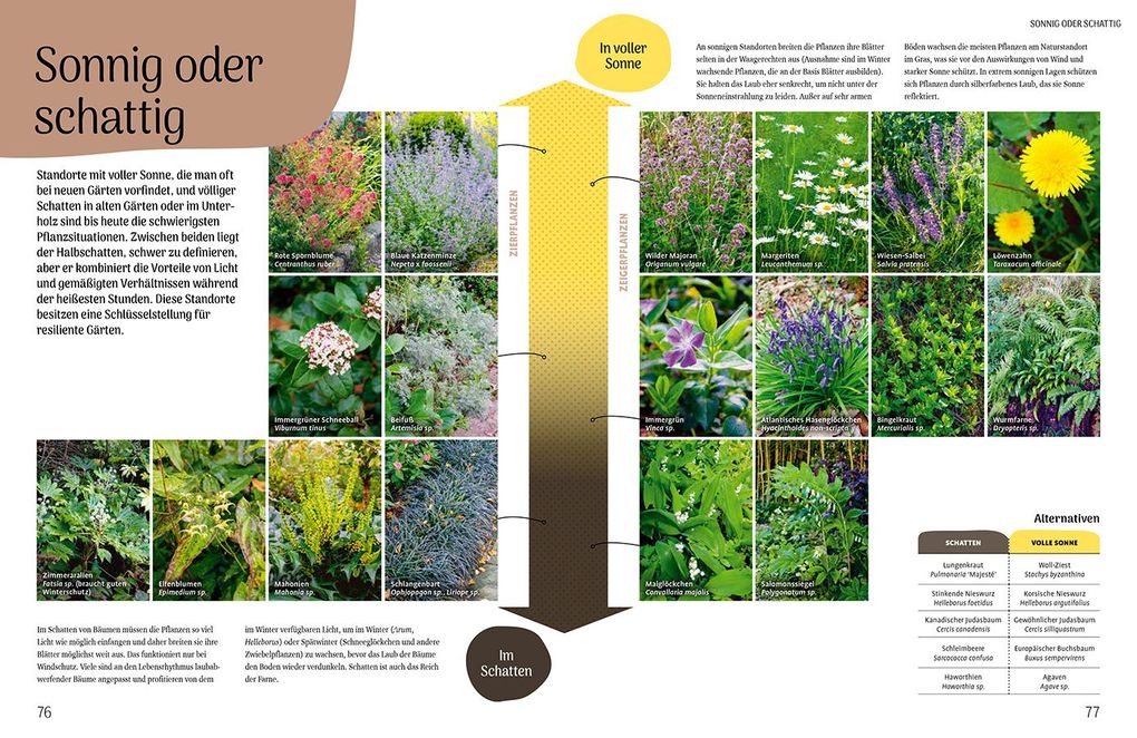 Weitere Ansicht: Der resiliente Garten | Didier Willery