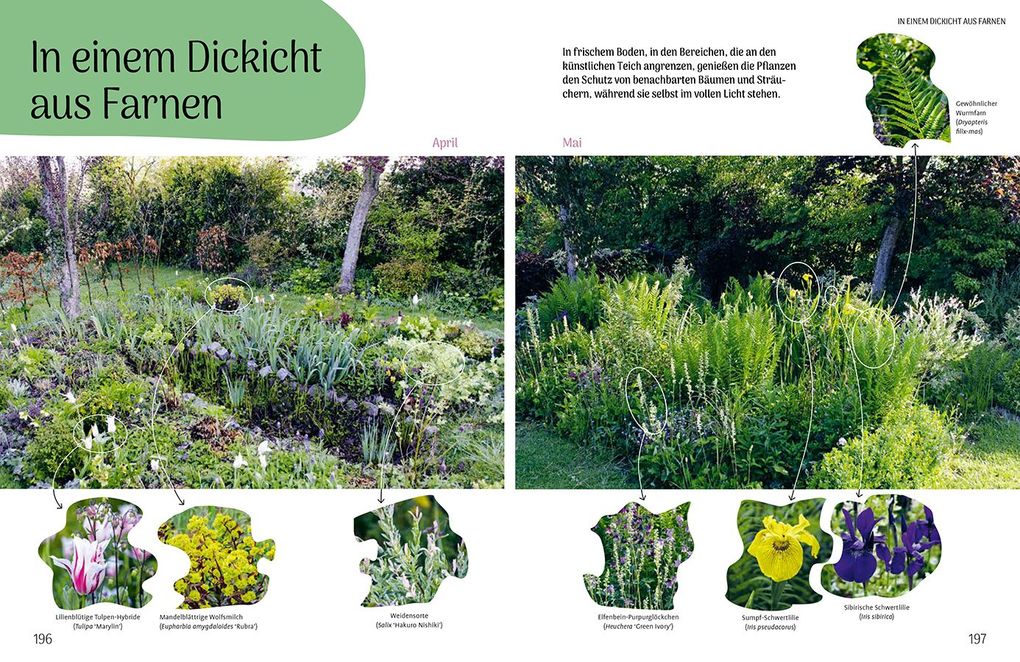 Weitere Ansicht: Der resiliente Garten | Didier Willery