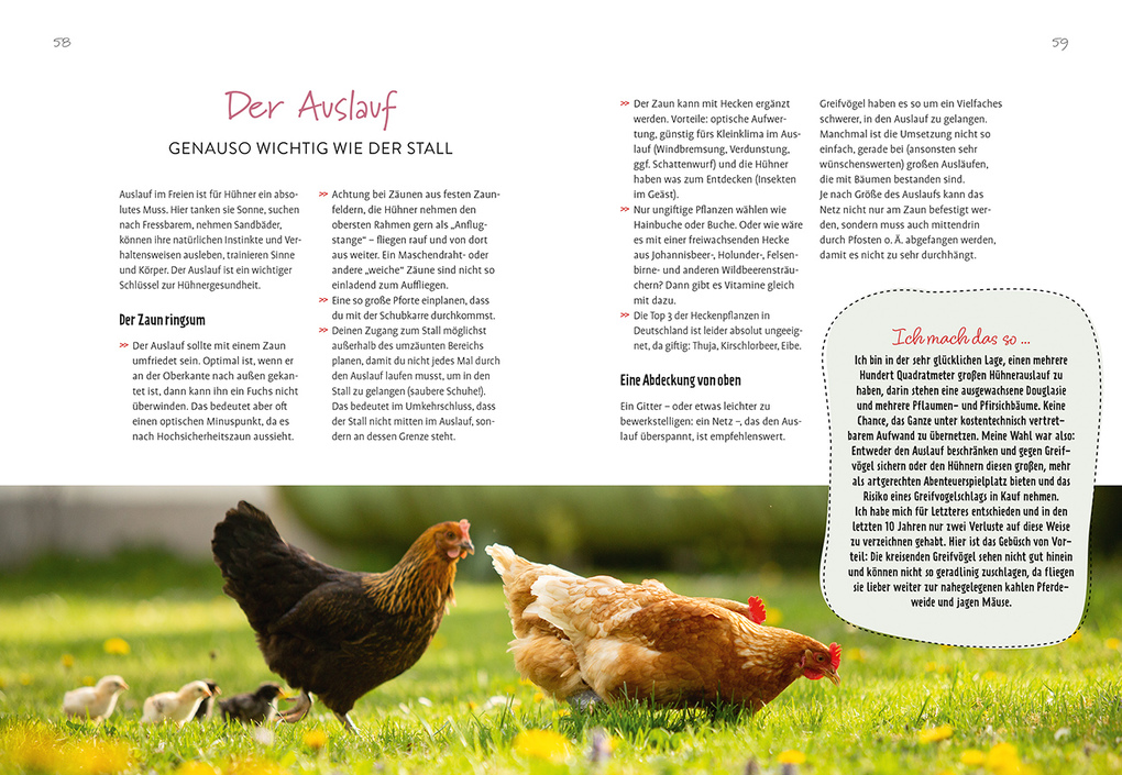 Weitere Ansicht: Im Garten gackert's | Antje Krause
