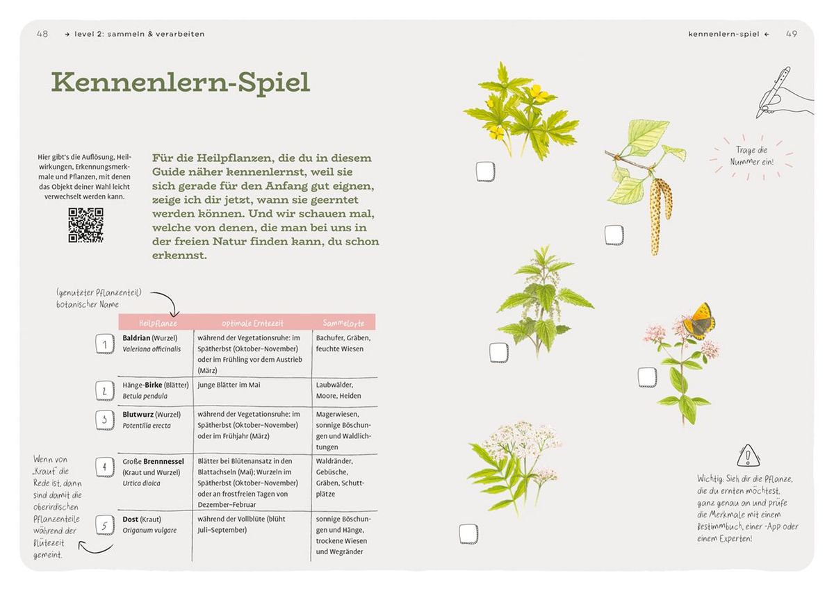 Weitere Ansicht: Dein Projekt. Dein Guide. Heilpflanzen kennen, sammeln, verarbeiten | Rudi Beiser