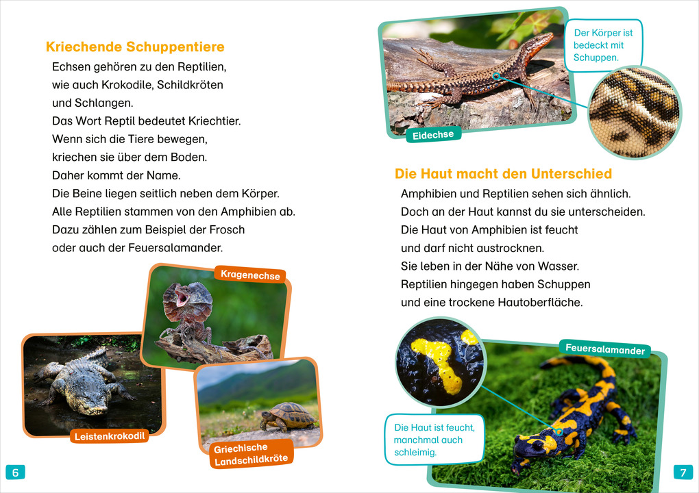 Weitere Ansicht: WAS IST WAS Erstes Lesen. Echsen | Christina Braun