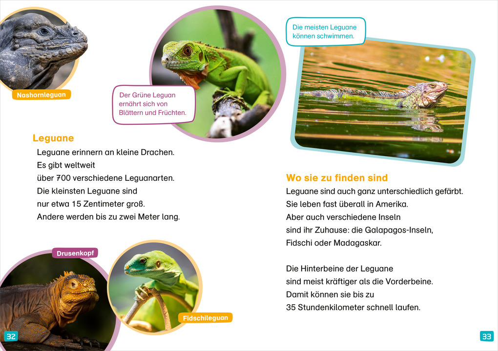 Weitere Ansicht: WAS IST WAS Erstes Lesen. Echsen | Christina Braun