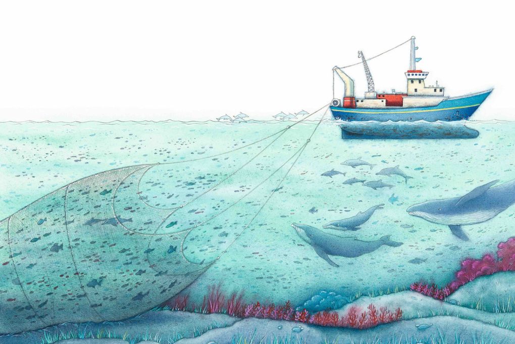 Weitere Ansicht: Der Regenbogenfisch in Gefahr | Marcus Pfister
