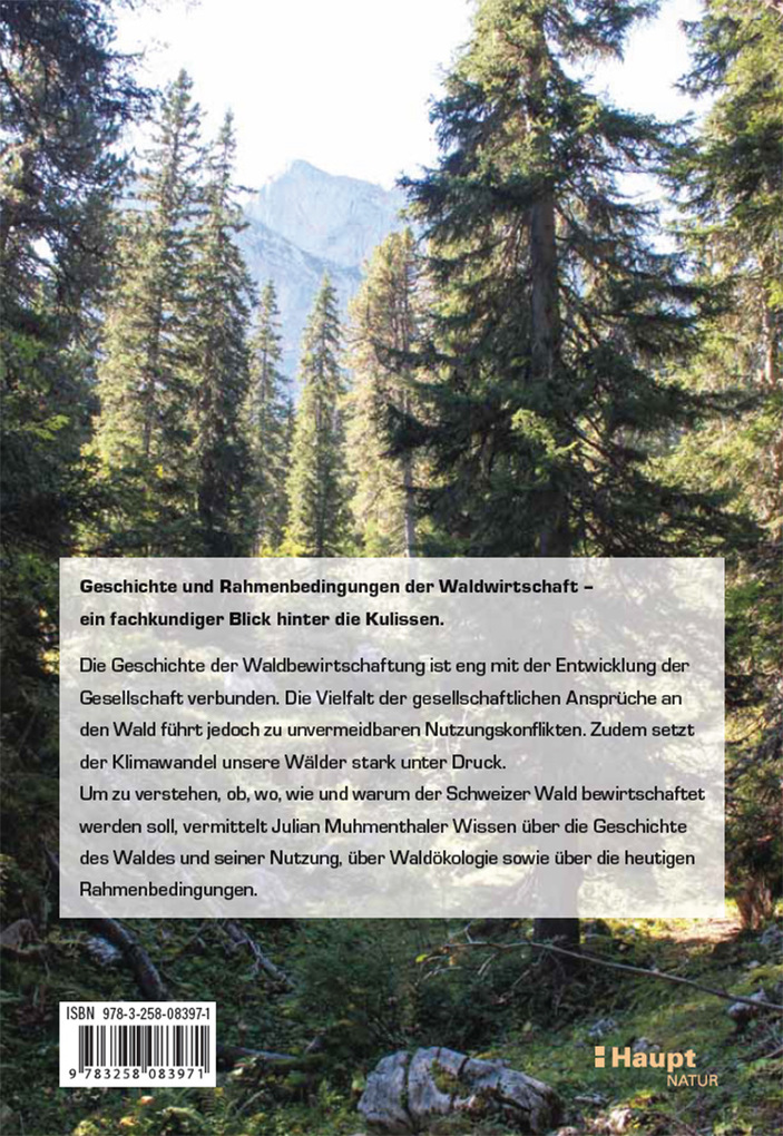 Weitere Ansicht: Waldbewirtschaftung in der Schweiz | Julian Muhmenthaler