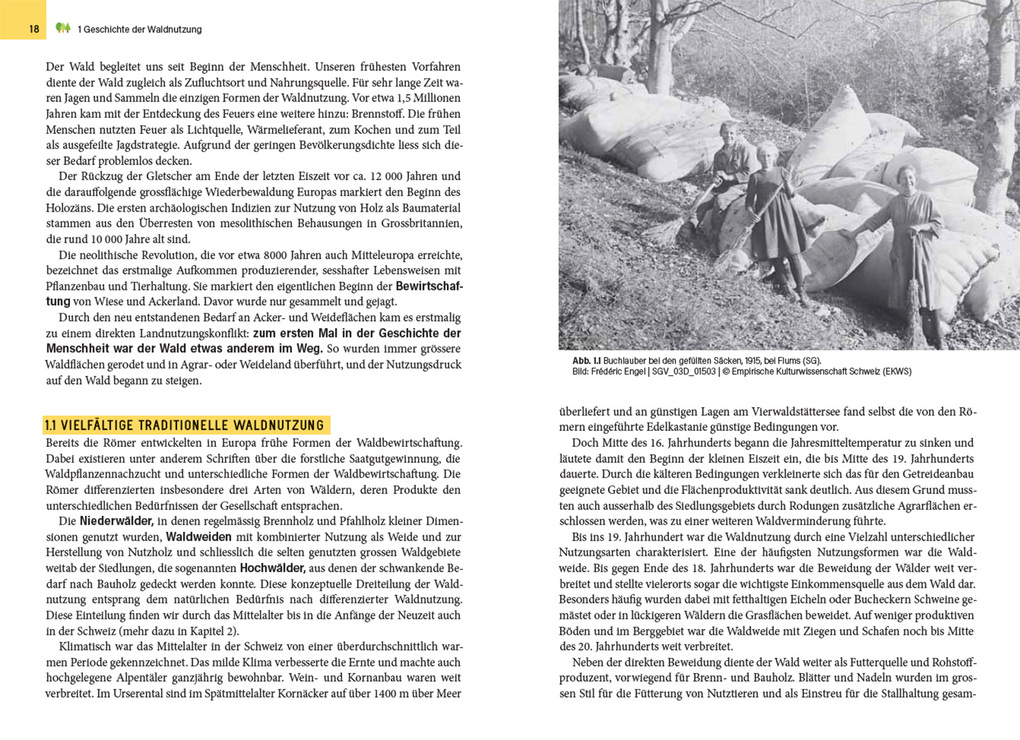 Weitere Ansicht: Waldbewirtschaftung in der Schweiz | Julian Muhmenthaler