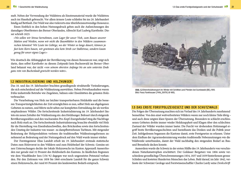 Weitere Ansicht: Waldbewirtschaftung in der Schweiz | Julian Muhmenthaler