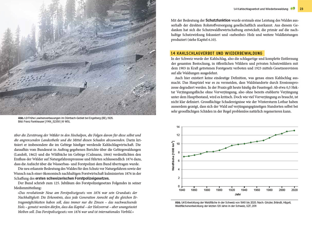 Weitere Ansicht: Waldbewirtschaftung in der Schweiz | Julian Muhmenthaler