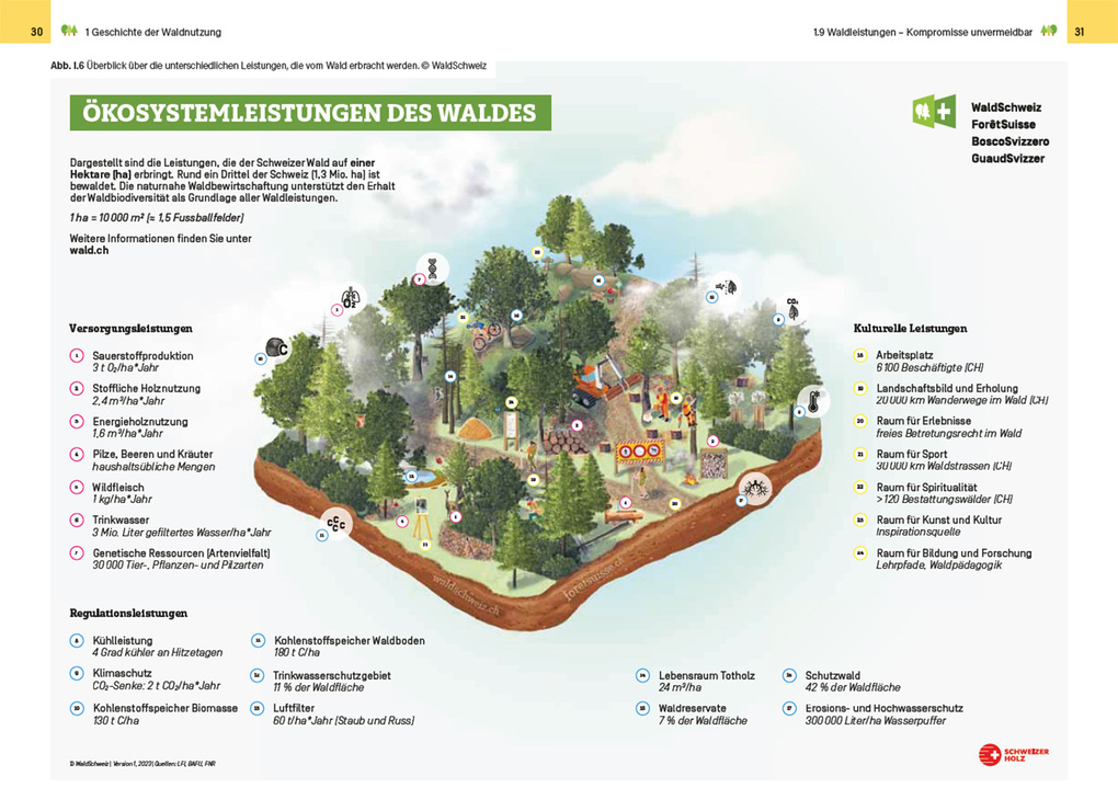 Weitere Ansicht: Waldbewirtschaftung in der Schweiz | Julian Muhmenthaler