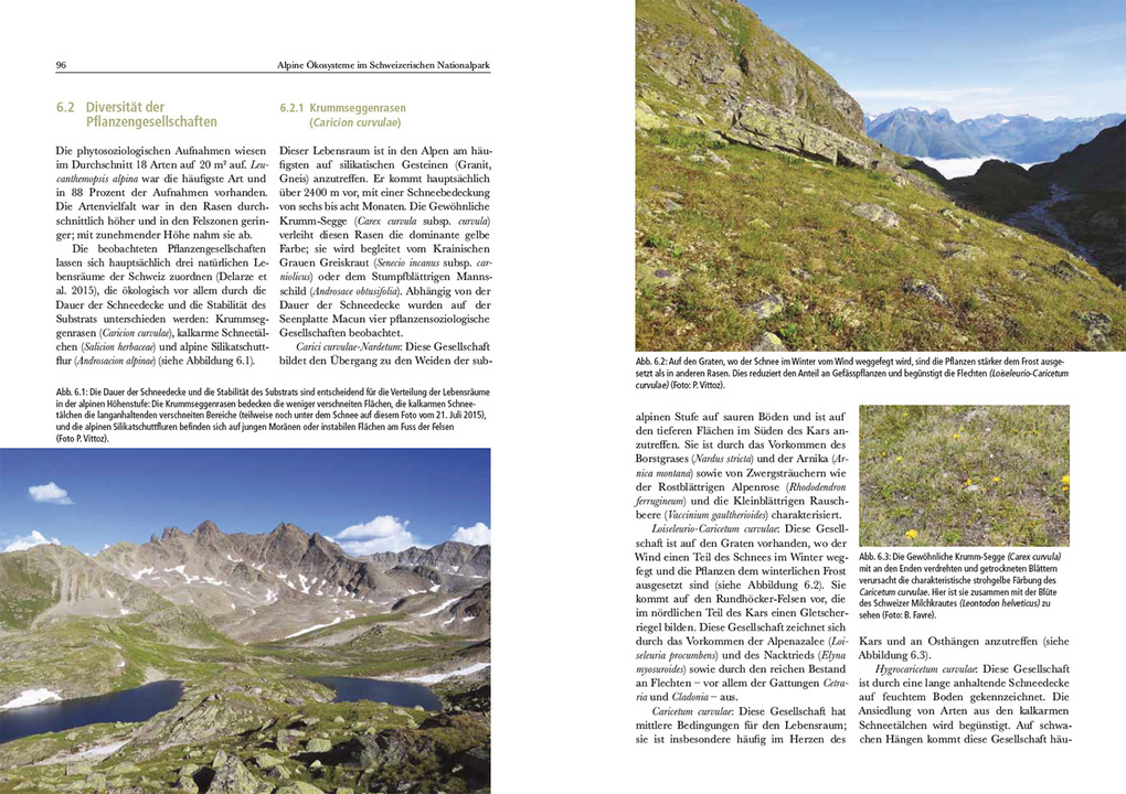 Weitere Ansicht: Alpine Ökosysteme im Schweizerischen Nationalpark
